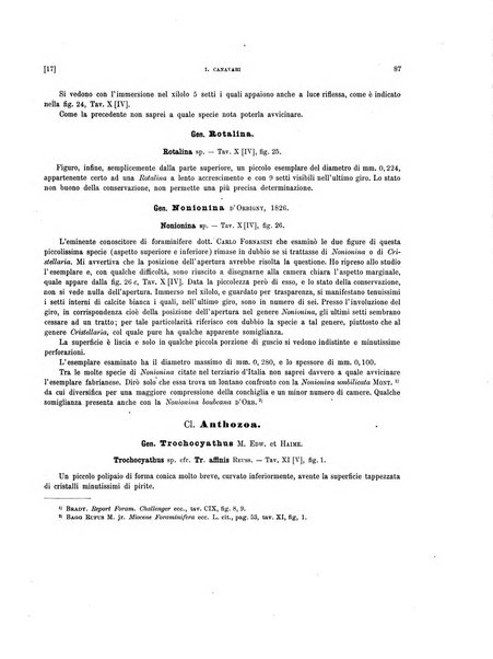 Palaeontographia Italica raccolta di monografie paleontologiche fondata da Mario Canavari nell'anno 1895