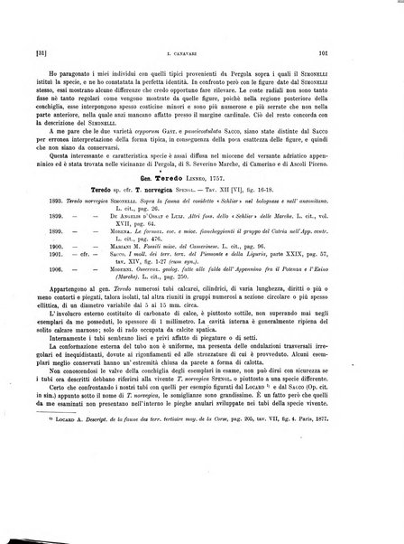 Palaeontographia Italica raccolta di monografie paleontologiche fondata da Mario Canavari nell'anno 1895