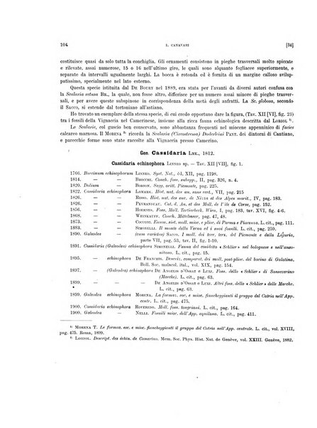 Palaeontographia Italica raccolta di monografie paleontologiche fondata da Mario Canavari nell'anno 1895