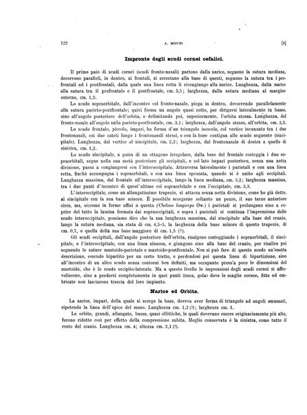 Palaeontographia Italica raccolta di monografie paleontologiche fondata da Mario Canavari nell'anno 1895