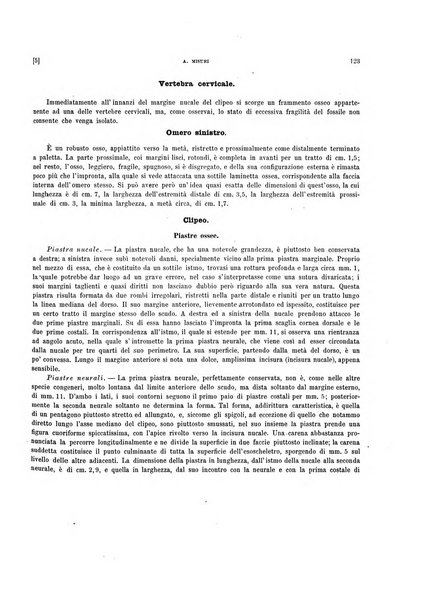 Palaeontographia Italica raccolta di monografie paleontologiche fondata da Mario Canavari nell'anno 1895