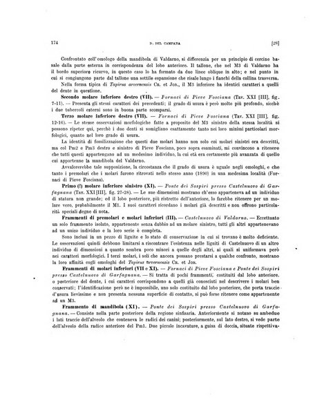 Palaeontographia Italica raccolta di monografie paleontologiche fondata da Mario Canavari nell'anno 1895