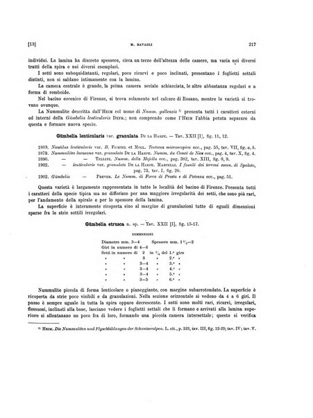 Palaeontographia Italica raccolta di monografie paleontologiche fondata da Mario Canavari nell'anno 1895