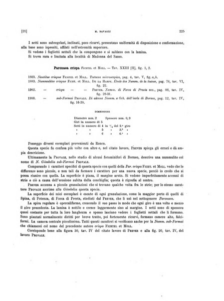 Palaeontographia Italica raccolta di monografie paleontologiche fondata da Mario Canavari nell'anno 1895