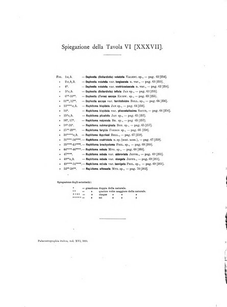 Palaeontographia Italica raccolta di monografie paleontologiche fondata da Mario Canavari nell'anno 1895