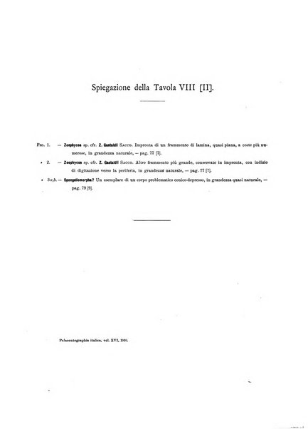 Palaeontographia Italica raccolta di monografie paleontologiche fondata da Mario Canavari nell'anno 1895