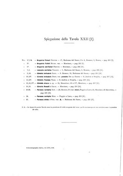 Palaeontographia Italica raccolta di monografie paleontologiche fondata da Mario Canavari nell'anno 1895