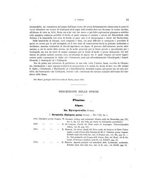 Palaeontographia Italica raccolta di monografie paleontologiche fondata da Mario Canavari nell'anno 1895