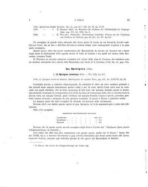 Palaeontographia Italica raccolta di monografie paleontologiche fondata da Mario Canavari nell'anno 1895