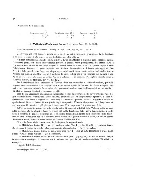 Palaeontographia Italica raccolta di monografie paleontologiche fondata da Mario Canavari nell'anno 1895