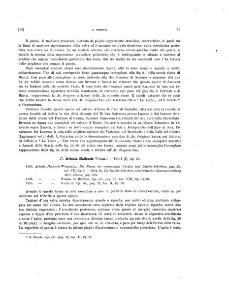 Palaeontographia Italica raccolta di monografie paleontologiche fondata da Mario Canavari nell'anno 1895