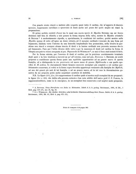 Palaeontographia Italica raccolta di monografie paleontologiche fondata da Mario Canavari nell'anno 1895