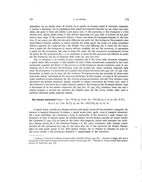 Palaeontographia Italica raccolta di monografie paleontologiche fondata da Mario Canavari nell'anno 1895