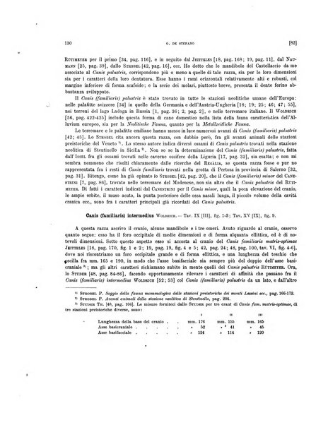 Palaeontographia Italica raccolta di monografie paleontologiche fondata da Mario Canavari nell'anno 1895