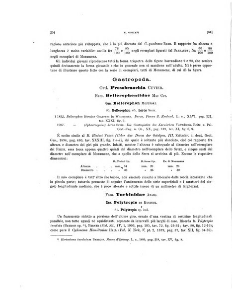 Palaeontographia Italica raccolta di monografie paleontologiche fondata da Mario Canavari nell'anno 1895