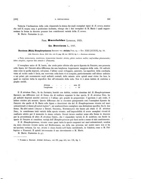 Palaeontographia Italica raccolta di monografie paleontologiche fondata da Mario Canavari nell'anno 1895