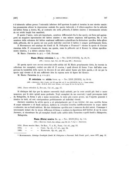 Palaeontographia Italica raccolta di monografie paleontologiche fondata da Mario Canavari nell'anno 1895