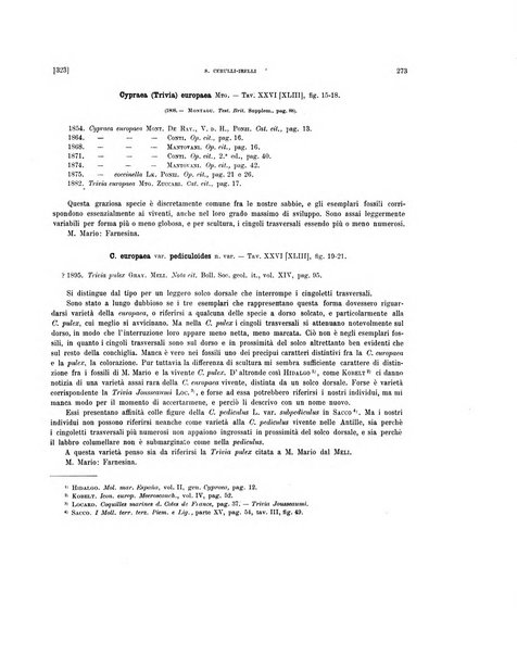 Palaeontographia Italica raccolta di monografie paleontologiche fondata da Mario Canavari nell'anno 1895