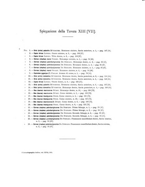 Palaeontographia Italica raccolta di monografie paleontologiche fondata da Mario Canavari nell'anno 1895