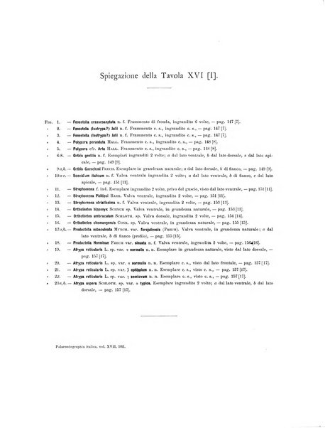 Palaeontographia Italica raccolta di monografie paleontologiche fondata da Mario Canavari nell'anno 1895