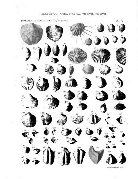 Palaeontographia Italica raccolta di monografie paleontologiche fondata da Mario Canavari nell'anno 1895