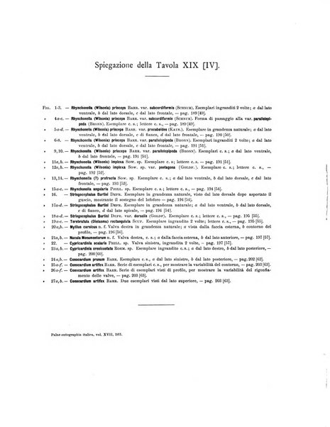 Palaeontographia Italica raccolta di monografie paleontologiche fondata da Mario Canavari nell'anno 1895