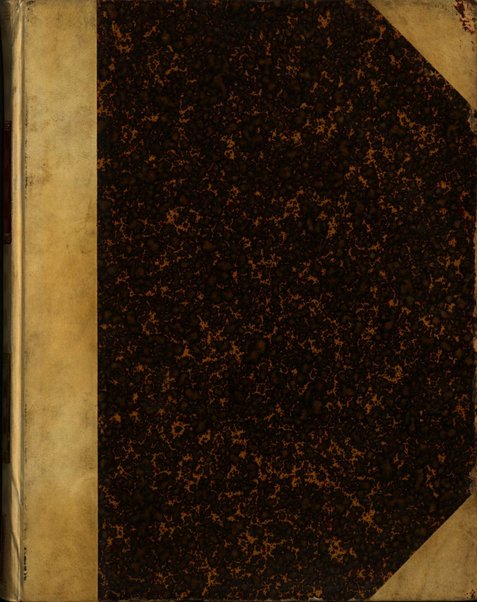 Palaeontographia Italica raccolta di monografie paleontologiche fondata da Mario Canavari nell'anno 1895