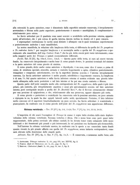 Palaeontographia Italica raccolta di monografie paleontologiche fondata da Mario Canavari nell'anno 1895