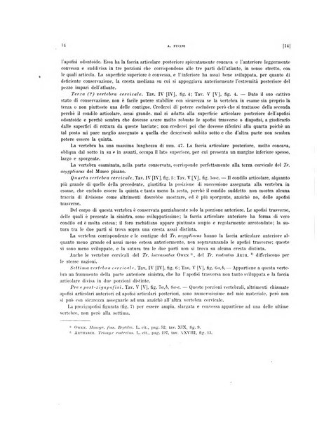 Palaeontographia Italica raccolta di monografie paleontologiche fondata da Mario Canavari nell'anno 1895