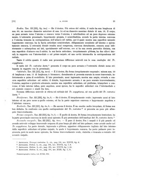 Palaeontographia Italica raccolta di monografie paleontologiche fondata da Mario Canavari nell'anno 1895