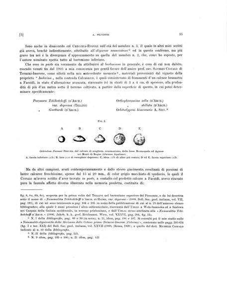 Palaeontographia Italica raccolta di monografie paleontologiche fondata da Mario Canavari nell'anno 1895