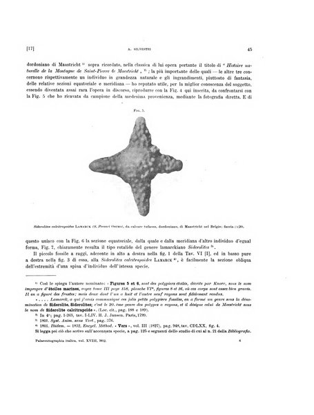 Palaeontographia Italica raccolta di monografie paleontologiche fondata da Mario Canavari nell'anno 1895