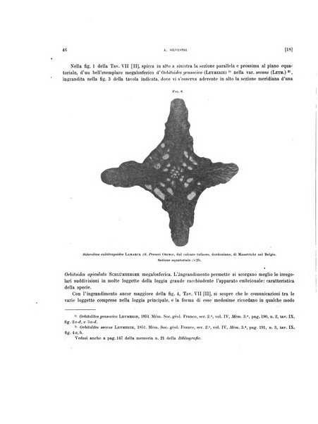 Palaeontographia Italica raccolta di monografie paleontologiche fondata da Mario Canavari nell'anno 1895