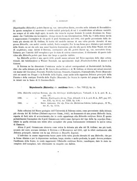 Palaeontographia Italica raccolta di monografie paleontologiche fondata da Mario Canavari nell'anno 1895