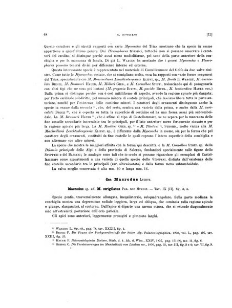 Palaeontographia Italica raccolta di monografie paleontologiche fondata da Mario Canavari nell'anno 1895