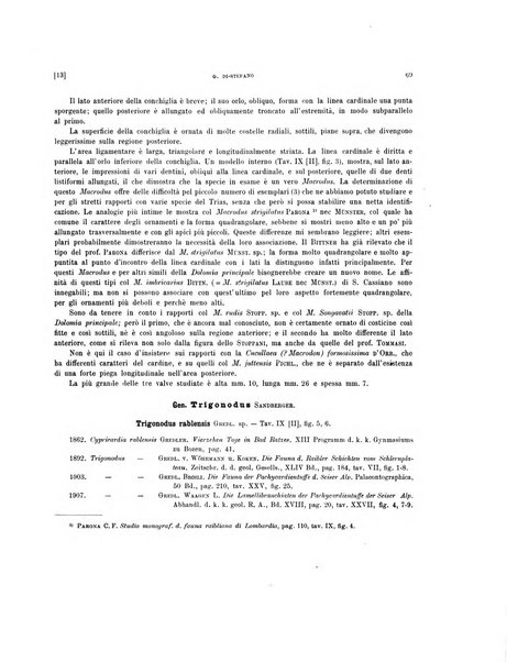 Palaeontographia Italica raccolta di monografie paleontologiche fondata da Mario Canavari nell'anno 1895