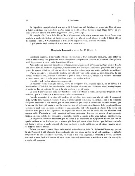 Palaeontographia Italica raccolta di monografie paleontologiche fondata da Mario Canavari nell'anno 1895