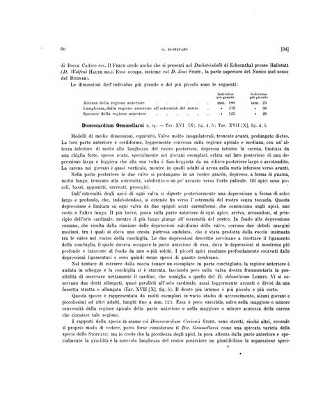 Palaeontographia Italica raccolta di monografie paleontologiche fondata da Mario Canavari nell'anno 1895