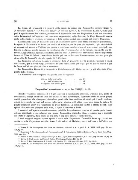 Palaeontographia Italica raccolta di monografie paleontologiche fondata da Mario Canavari nell'anno 1895