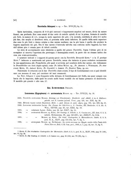 Palaeontographia Italica raccolta di monografie paleontologiche fondata da Mario Canavari nell'anno 1895