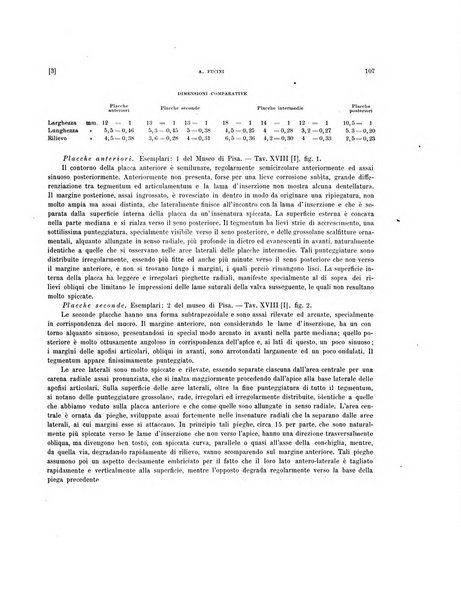 Palaeontographia Italica raccolta di monografie paleontologiche fondata da Mario Canavari nell'anno 1895