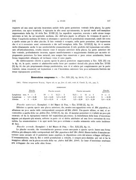 Palaeontographia Italica raccolta di monografie paleontologiche fondata da Mario Canavari nell'anno 1895