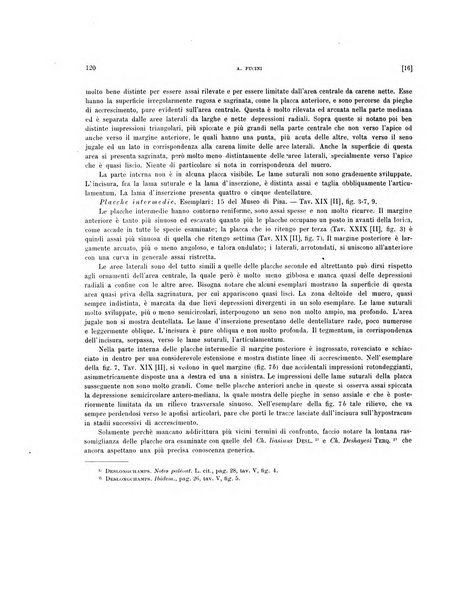 Palaeontographia Italica raccolta di monografie paleontologiche fondata da Mario Canavari nell'anno 1895