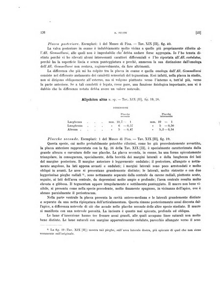 Palaeontographia Italica raccolta di monografie paleontologiche fondata da Mario Canavari nell'anno 1895