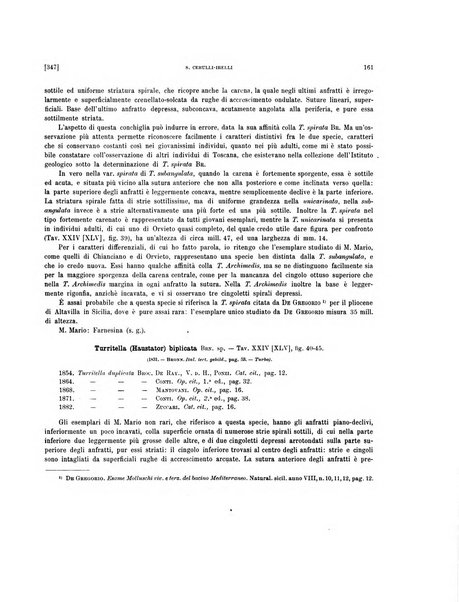 Palaeontographia Italica raccolta di monografie paleontologiche fondata da Mario Canavari nell'anno 1895