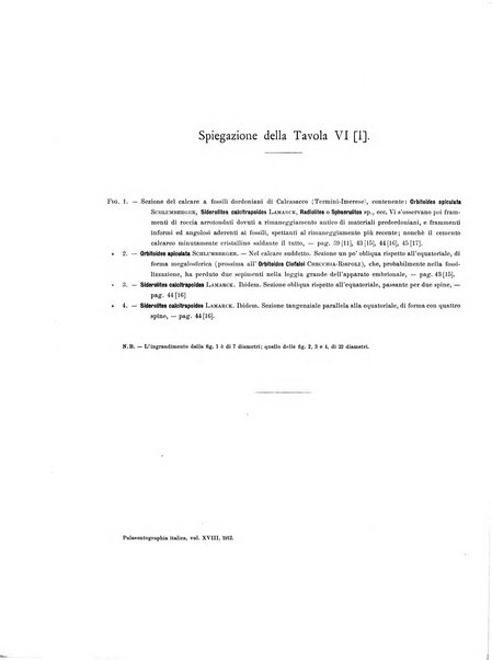 Palaeontographia Italica raccolta di monografie paleontologiche fondata da Mario Canavari nell'anno 1895