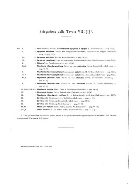 Palaeontographia Italica raccolta di monografie paleontologiche fondata da Mario Canavari nell'anno 1895