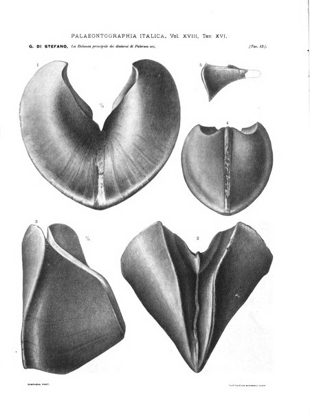 Palaeontographia Italica raccolta di monografie paleontologiche fondata da Mario Canavari nell'anno 1895