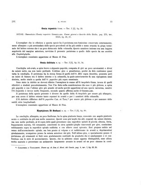 Palaeontographia Italica raccolta di monografie paleontologiche fondata da Mario Canavari nell'anno 1895