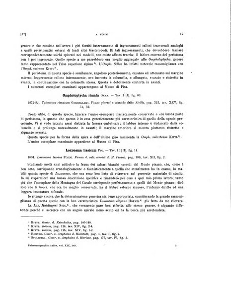 Palaeontographia Italica raccolta di monografie paleontologiche fondata da Mario Canavari nell'anno 1895